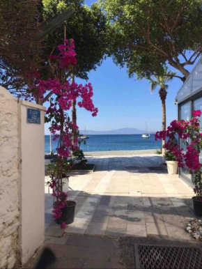Cozy Flat in The Heart of Bodrum